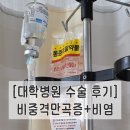 전동물병원 | [대학병원 비중격 만곡증, 비염수술] 주절주절 후기