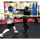 대한복싱클럽 이미지