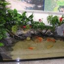 청석초등학교 이미지