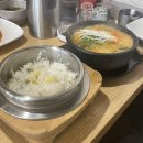 멍청이수산 | 문래 점심 횟집 멍청이수산 회덮밥 낚지덮밥 알탕 내돈내산 후기