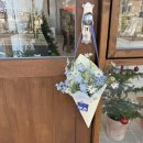 모아꽃방 이미지