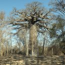 신성가스 이미지