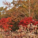 양재근린공원 이미지