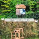 (주)월드크루즈 | [서울/용인]에버랜드 판다월드 세컨하우스 대기시간 솔직방문 후기