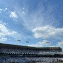 하늘멍가 이미지