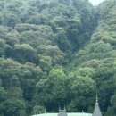 CH관광호텔 | Wedding ch.1 한일커플상견례 in Matsuyama + 마츠야마 여행