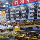 가락어린이집 | 가락시장 대방어 횟집 맛집, &#39;영재수산&#39; 프리미엄 모듬회(12만원) 후기