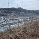 신계리/상신 이미지