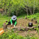 조안농장 이미지