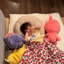 신나는피노키오어린이집 | 도쿄 여행 | DAY1,2 아기랑 도쿄 디즈니랜드 후기&amp;어트랙션 추천(4박 5일 자유여행)