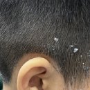 양덕이발소 네이버블로그