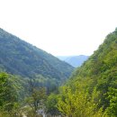 자개골캠핑장 이미지