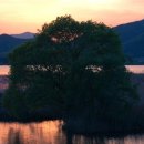 주남저수지 이미지