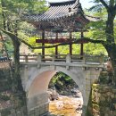 상생과 공존 | 전남 구례 여름 가볼만한곳 천은사 상생의 길 계곡 여행 코스