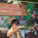 강선농장 | 보홀여행 보홀 가볼만한곳 보홀육상투어 코스 내돈내산 후기