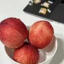 꾸브라꼬의왕