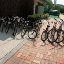 서울월천초등학교 이미지