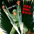 쏠로화이트