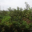 두현농장 이미지