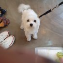 냉천로-1 이미지