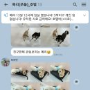 반달유치원 이미지