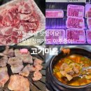 정선정육점 | [강원 정선] 정선고기집 고기마을, 꼬들목살이 인상적이었던 점심 방문 후기