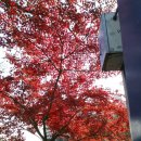 동삼3동-1 이미지