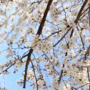 덕진동-12(동물원) 이미지