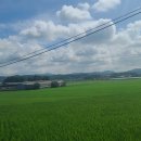 홀뫼농장 이미지