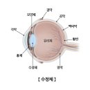 도계안경 이미지
