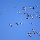 주남저수지 이미지