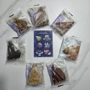 머드로 2 | 머드스콘 2025년 머드 크리스마스 에디션 게릴라후기