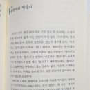 돌팔매와 책갈피 이미지