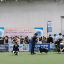 히말투어 이미지