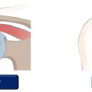 구로바른재활의학과의원 이미지