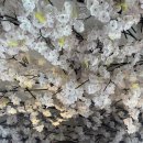 연남경희한의원 | [연남동/맛집] 연남동 깔끔한 가정식 밥집 "섬"