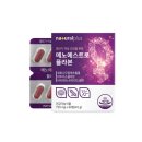 에스트로정 쇼핑하우