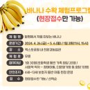 김정우 농장 | 5월 전남 여행지 추천 2024 함평 나비축제 기본정보 일정 입장료 주차장 후기