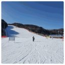무주의류 | 무주스키샵 정착 후기! 알파인렌탈샵 신상 의류랑 장비 컨디션 실화냐..❄️