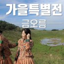 제주스토리투어 이미지