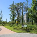 정부대전청사 이미지