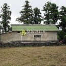 하천리-13 이미지