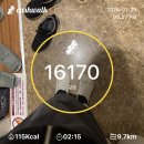 용다방 | 주간 용다방 일상 : 오키나와 신혼여행겸 태교여행 기록