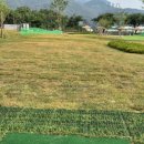 수목원파크 이미지