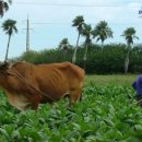 석순농장 이미지