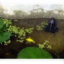 오복민박 이미지