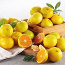 미정농장 이미지