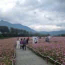 꽃단지 화장실 이미지