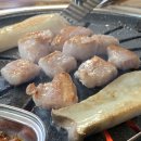 부림왕소금구이 | 대구 중구 삼겹살 항정살 맛집 부림왕소금구이 내돈내산 후기 주차 회식 모임장소 추천