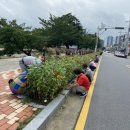 금왕읍 노인회분회 이미지